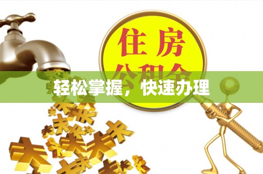 广安轻松掌握，快速办理