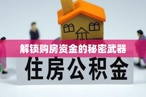 广安解锁购房资金的秘密武器