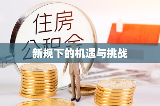 广安新规下的机遇与挑战