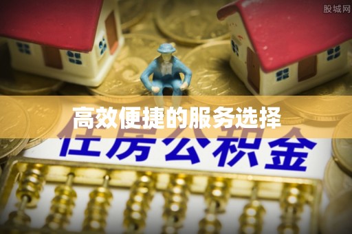 广安高效便捷的服务选择