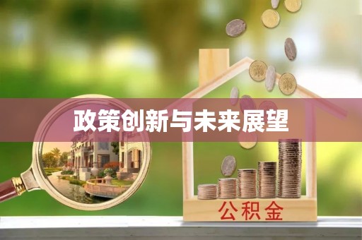 广安政策创新与未来展望
